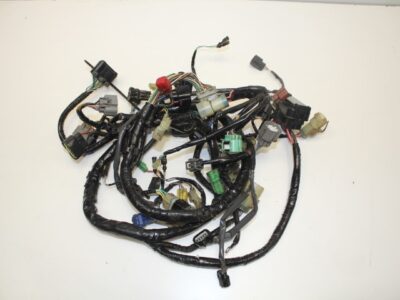 Wiring Loom - Main