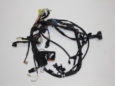 Wiring Loom - Main - 08-10