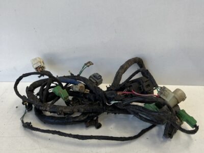 Wiring Loom - Main - 00-03