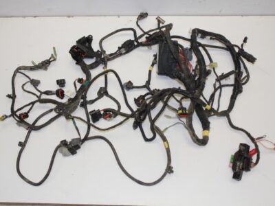 Wiring Loom - Main - 11-12