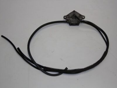 Fuel Pump - Including Hoses