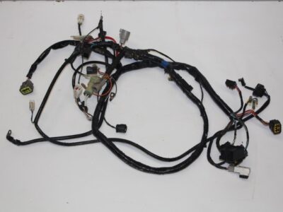 Wiring Loom - Main - 07