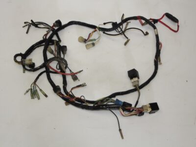 Wiring Loom - Main