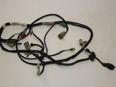 Wiring Loom - Main