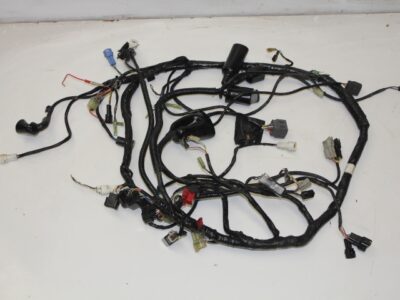 Wiring Loom - Main - 06-10