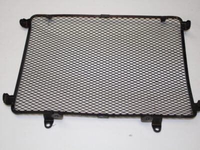Radiator Screen