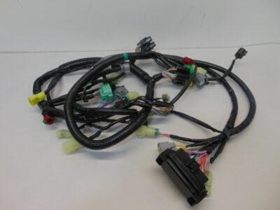 Wiring Loom - Main