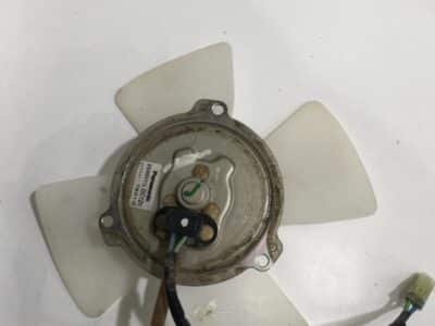 Fan Motor Including Fan