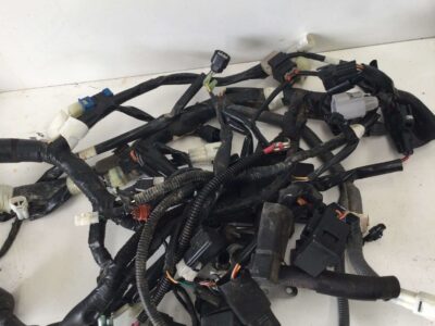 Wiring Loom - Main - Power Steering Model - 19-21