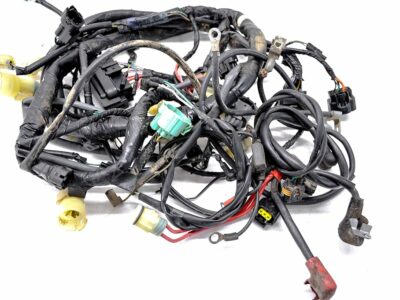 Wiring Loom - Main