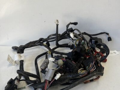 Wiring Loom - Main - EPS - 16-17