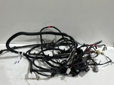Wiring Loom - Main - 07-Prior Mule 610