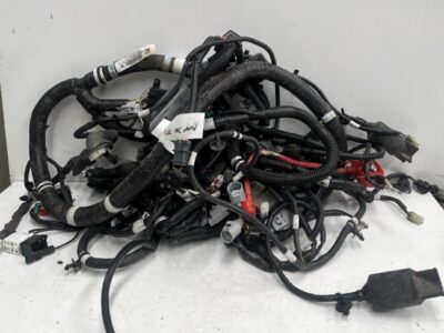 Wiring Loom - Main - EPS - 19-23
