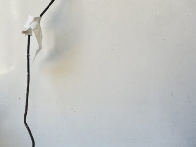 Brake Line - Rear