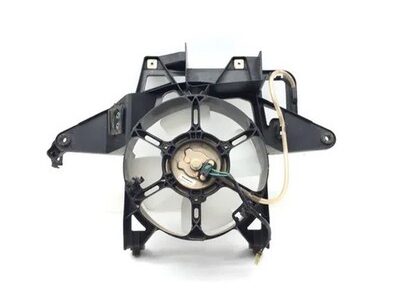 Radiator Fan/Shroud