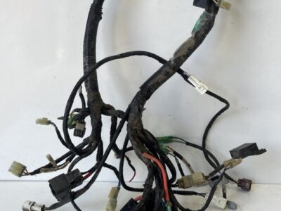 Wiring Loom - Main