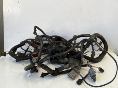 Wiring Loom - Main